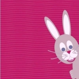 Kleiner Hase sagt Hallo - Littel Hare, Bunny, Rabbit says Hello - Le petit lièvre dit le Salut
