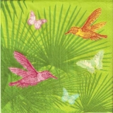 Palmblätter, Vögel, & Schmetterlinge - Palm Leaves, Birds & Butterflies - Feuilles de palmier, les oiseaux et les papillons