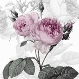 Wunderschöne Rosen - Beautiful roses - Belles roses