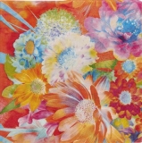 Blumige Farbexplosion - Flowery Colour explosion - Explosion de couleur fleurie