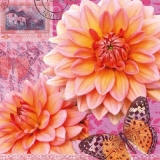 Brief, Schmetterlinge & wunderschöne Blüten - Letter, butterflies & beautiful flowers  - Lettre, papillons et fleurs magnifiques