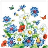 Kornblumen, Schmetterlinge, Mohnblumen & Margeriten - Cornflowers, butterflies, poppies and daisies - Bleuets, papillons, coquelicots et de marguerites