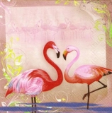 Hübsche Flamingos - Pretty flamingos - Flamants jolie