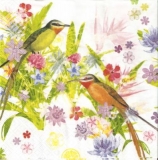 Exotische Vögel, Kolibris im Blumengarten - Ecotic birds, hummingbirds in the flower garden - Oiseaux exotiques, colibris dans le jardin de fleurs
