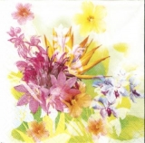 Strelizie, Orchideen & andere Blumen - Bird of Paradise, Orchids 6 other flowers - Oiseau de paradis, orchidées et autres fleurs