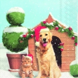 Weihnachtshund & Weihnachtskatze - Christmas dog & christmas cat - Chien de Noël & Chat de Noël