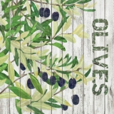 OLivenernte - Olive Harvest - Récolte dolives