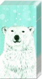 Der Eisbär - The Porlar Bear - Lours polaire