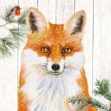 Rotkehlchen bei einem Fuchs - Robin with a fox - Rouges-gorges chez un renard