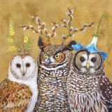 Verschiedene Eulen mit Blumen  - Different owls with flowers - Hiboux différents avec des fleurs