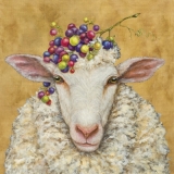 Schaf mit Trauben - Sheeps with grapes - Mouton avec des grappes