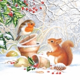 Rotkehlchen & Eichhörnchen im Schnee - Robin & Squirrel in the snow - Rouge-Gorge & Écureuil dans la neige