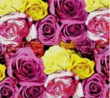 Wunderschöner  Rosenteppich - Wonderful rose carpet - Tapis de roses merveilleux