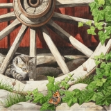 Katze, Wagenrad & Schmetterling - Cat, Wood wheel & Butterfly - Chat, Bois roue et papillon
