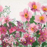 Rosa Blumenwiese - Pink Flower meadow - Prairie de fleurs rose