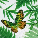 Wunderschöner Schmetterling - Beautiful Butterfly - Beau papillon