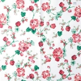 Wunderschöne Rosenranken - Beautiful Rose tendrils - Sarments de roses merveilleux