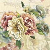 Prachtvolle Rosen - Splendid roses - Roses magnifiques