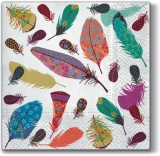 Zarte, bunte Federn - delicate, colurful feathers - Délicat, plumes colorées