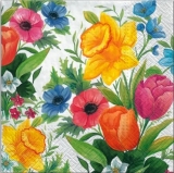 Mein Blumenbeet in leuchtenden Farben - My Flowerbed in bright colors - Ma fleur dans des couleurs vives