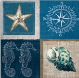 Seestern, Kompass, Muschel & Seepferdchen - Starfish, compass, shell & seahorse - Etoile de mer, boussole, coquillage & petit cheval de lac