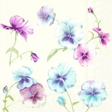 Stiefmütterchen in zarten Farben - Violas in soft colours - Pansies aux couleurs délicates
