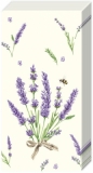 Kleine Lavendelsträuße - Small lavender bouquets - Petits bouquets de lavande