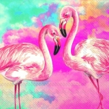 Flamingo Paar - Flamingo Couple - Flamant pair
