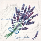 Lavendelfeld - Lavender field - Champ de lavande - Lavendula