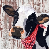 Kuh mit Tuch - Cow with neckerchief - Vache avec le foulard