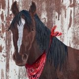 Pferd mit Tuch - Horse with neckerchief - Cheval avec le foulard