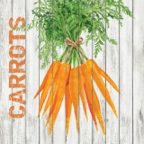 Bund Karotten, Möhren - Bunch of carrots - Carottes fraîches