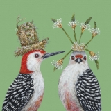 Vögel mit Kopfschmuck - Birds with headdress - Oiseaux avec la coiffure