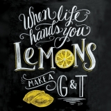 Wenn das Leben Dir Zitrone gibt machen einen Gin tonic - When life hands you Lemons make a G&T - Si la vie à Toi le citron donne font un gin tonic