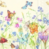 Zarte Schmetterlinge an zarten Blüten - Delicate Butterflies at delicate Flowers - Papillons tendres aux fleurs tendres