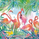 Wunderschöne Flamingos - Beautiful flamingos - beaux flamants roses