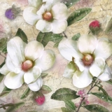 Magnolien & andere Blumen auf Briefen - Magnolia & other flowers on letters - Magnolia et autres fleurs sur les lettres