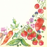 Rahmen aus Obst & Gemüse - Frame out of Fruits & vegetables - Cadres des fruits & légumes