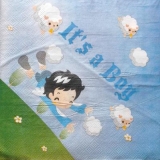 Schäfchen, Wolken, Es ist ein Junge - Sheep, Clouds, Its a boy - e petit mouton, les nuages, cest un garçon