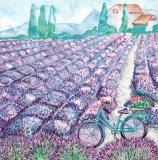 Mit dem Fahrrad zum Lavendelfeld - By bike to the Lavender field - En vélo au champ de lavande