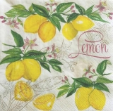 Erntereife Zitronen - Harvest of lemons - Maturité de récolte des citrons