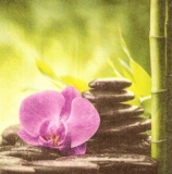 Orchidee, Steine, Bambus, Entspannung - Orchid, Stones, Bamboo, Relaxation - Orchidée, pierres, bambou, détente