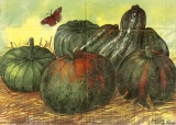 Kürbisse im Stroh - Pumpkins + straw