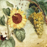 Sonnenblume & Trauben - Sunflower & Grapes - Tournesol et raisins