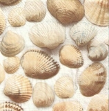 Viele Muscheln - Many shells - beaucoup de coquillages