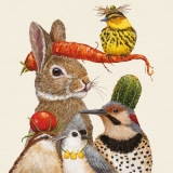 Lustige Vögel & 1 Hase - Funny birds and 1 rabbit - Drôles d oiseaux et un lapin