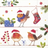 Rotkehlchen in Weihnachtsfreude - Robins in christmas joy - Rouge-Gorges dans lesprit de Noël