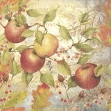 Reif für die Apfelernte - Ready for the apple harvest - Prêt pour la récolte des pommes