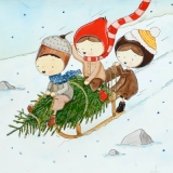Wilde Schlittenfahrt mit Tannenbaum - Wild sleigh ride with fir tree - Randonnée en traîneau sauvage avec sapin