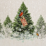 Vögel, Meisen, Winter, Schneefall, Tannenbäume - Birds, tits, winter, snowfall, fir trees - Les oiseaux, les mésanges, lhiver, la neige, les arbres de Noël